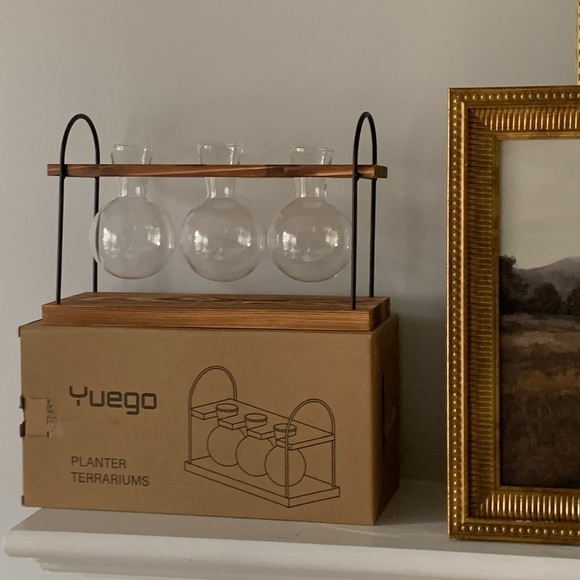 Yuego planter terrarium glass wooden new‎ in box - Picture 11 of 12